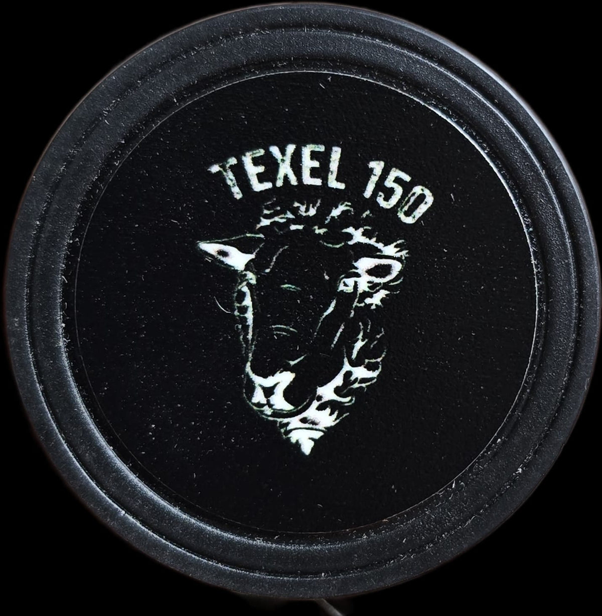 Pokerchip - Texel 150 - Zwart - Kluisje